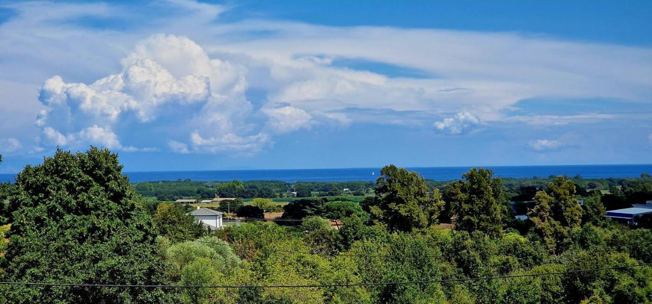 Villa Bistinetti Rez De Villa Tout Confort Avec Piscine Penta di Casinca Exterior foto